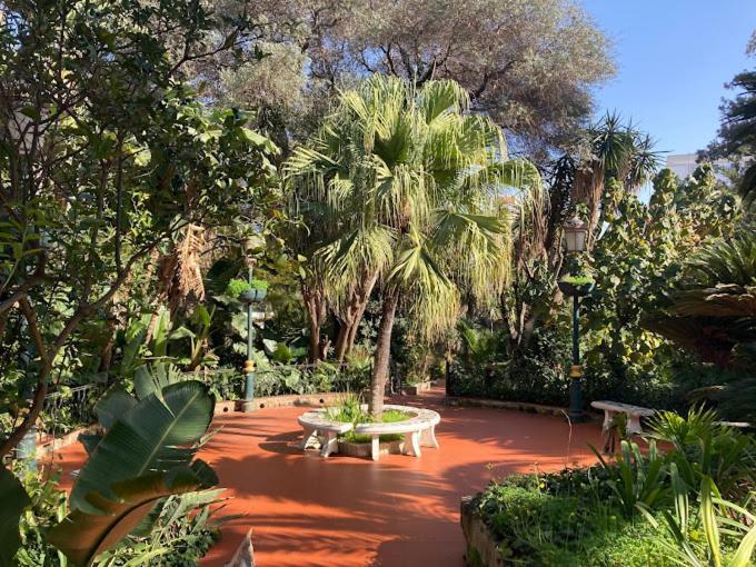 Hotel El Djazair El Mouradia Екстериор снимка