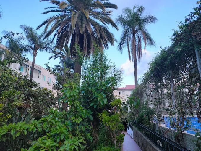 Hotel El Djazair El Mouradia Екстериор снимка